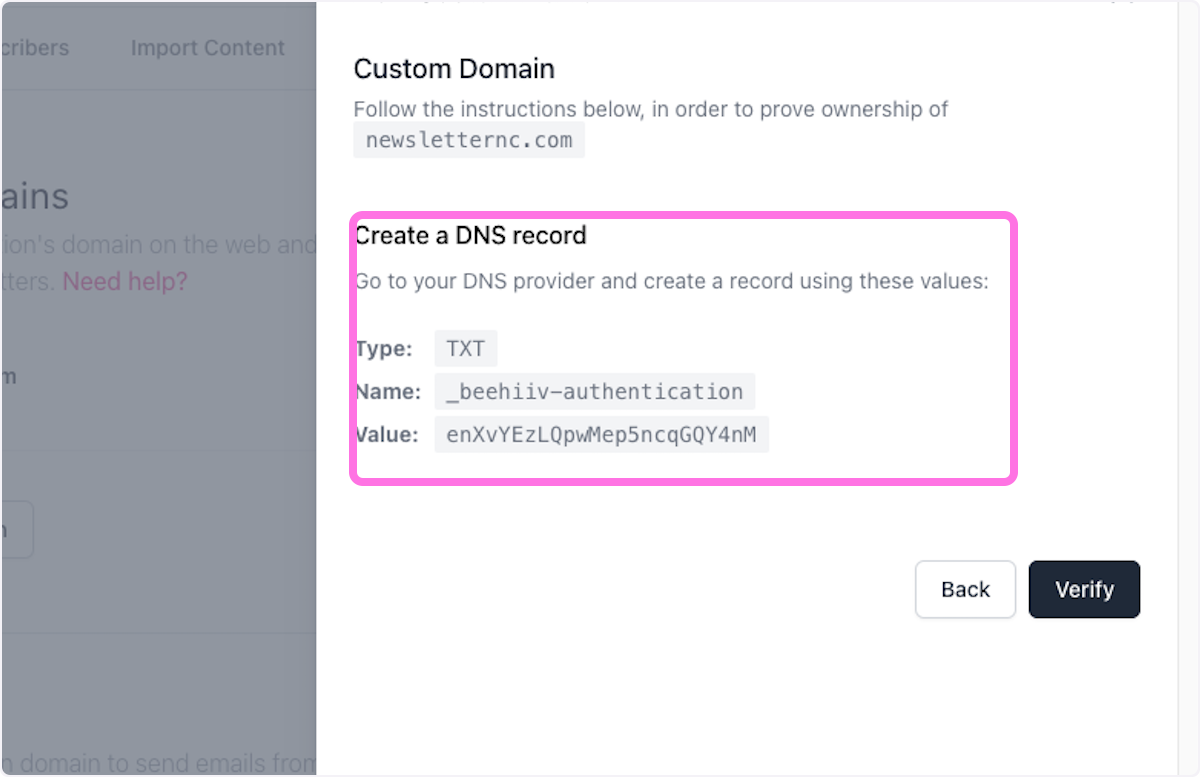 You will be provided with a custom TXT recod to add to your DNS records