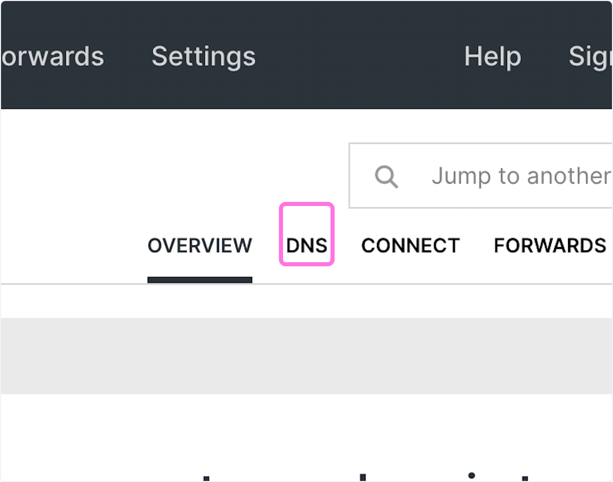 Click on DNS