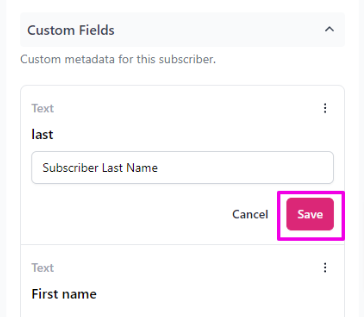 Custom Fields Subscribers.02.png